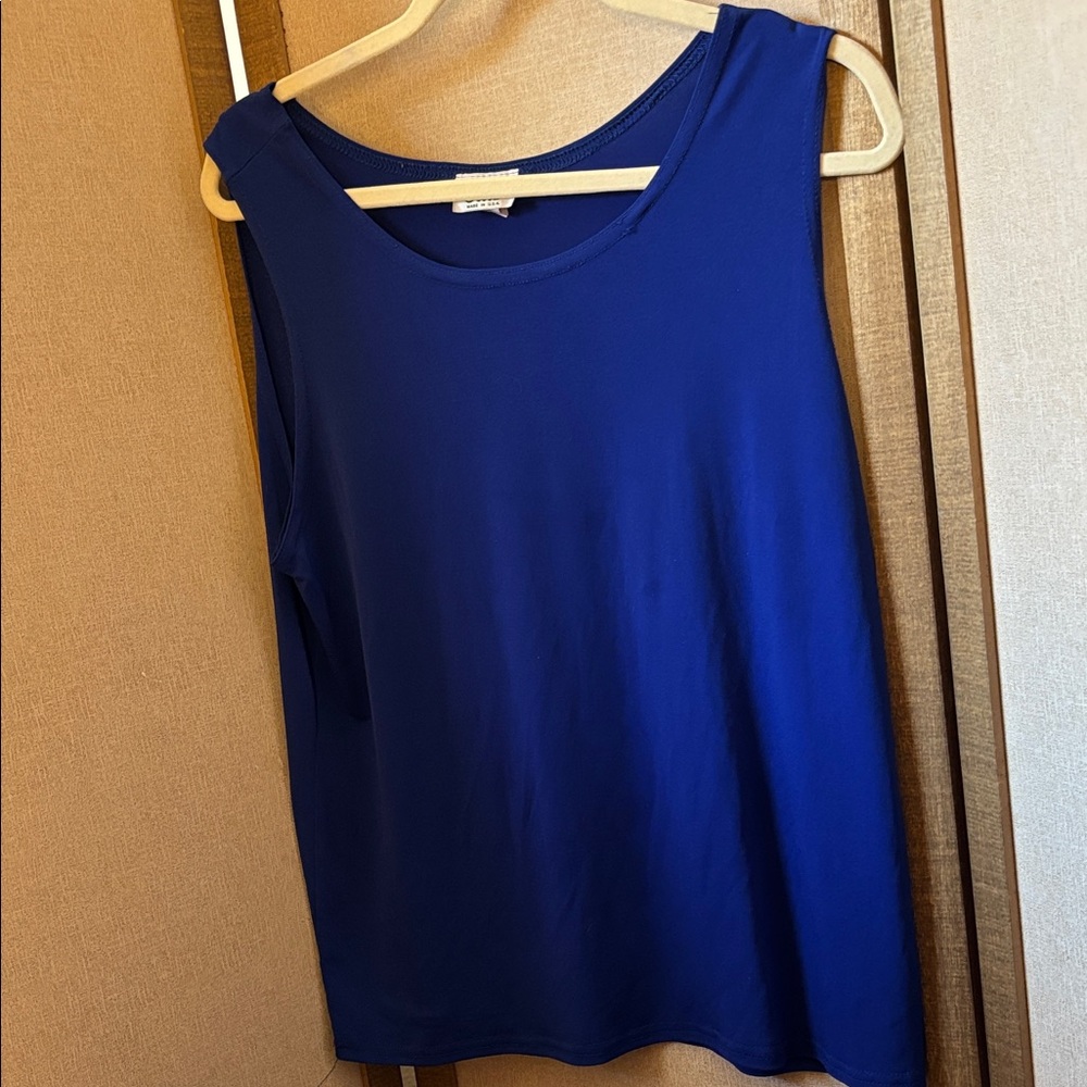 FINAL MARKDOWN Jostar Elegant Blue Sleeveless Top XL